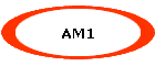 AM1