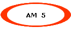 AM  5